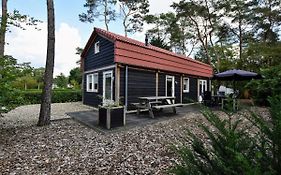 Modern Villa On The Edge Of The Veluwe In A Holiday Park In A Wooded Area